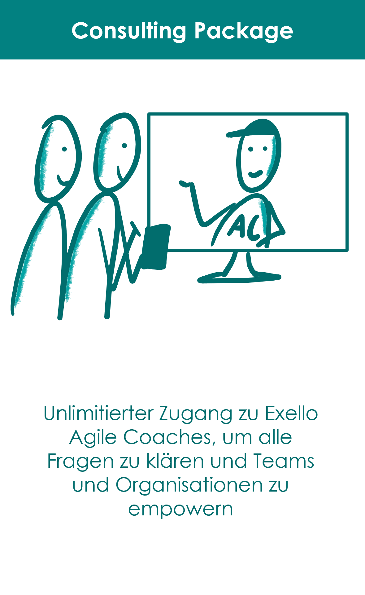 Consulting_Package_Agile_as_a_Service_Exello_Komplett